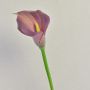 Umělá zantedeschia TALEA, fialová, 65cm, 9x11cm