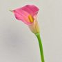 Umělá zantedeschia TALEA, růžová, 65cm, 9x11cm