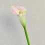 Umělá zantedeschia TALEA, bílo-růžová, 65cm, 9x11cm