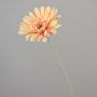 Umělá gerbera VIRGINIA, krémovo-růžová, 55cm, Ø11cm