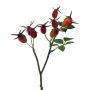Dekorativní větvičková růže BRULFI se šípky, oranžová, 25cm