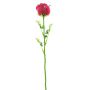 Plastová růže EVARISTO ve vzhledu skla, 12 kusů, vínově červená, 80cm