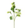 Umělá chmelová větev DRIHOL s květy, zelená, 75cm