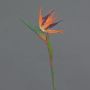 Dekorativní květina strelitzie WEIYU, oranžovo-fialová, 60cm
