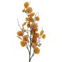 Dekorativní větev eukalyptu YURUO, oranžová, 90cm