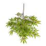 Umělá větvička japonského javoru ALEXANDER, světlezelená-červená, 60cm