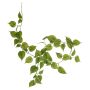 Věnec z pravého filodendronu Scandens MELUBO, zelený, 180cm