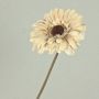 Gerbera TUNGUSKA plastový květ, suchý vzhled, krémově béžová, 50cm