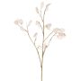 Dekorativní větvička Lunaria KONIA, krémová, 95cm