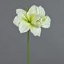 Dekorativní amarylis NARWELA, bílo-zelená, 70cm, Ø10-13cm