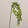 Umělá větvička černého bezu SWANTJE, plody, zelená, 40cm