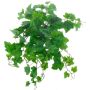 Umělý závěs na vinnou révu IGNATIUS, Eco Collection, zelený, 50cm