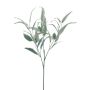 Dekorativní eukalyptová větev MALWINE, Eco Collection, zelená, 75cm