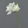 Umělá květina amaryllis BENITA, bílá, 55cm, Ø10cm