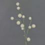 Umělá okrasná cibule EMRAH, krémová, 80cm, Ø2-4cm