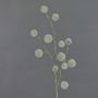 Umělá okrasná cibule EMRAH, zelená, 80cm, Ø2-4cm
