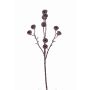 Umělá větev eukalyptu BASILIUS s plody, hnědá, 60cm