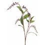 Umění americké větve pokeweed BARRY, bobule, černá, 95cm