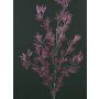 Umělá modřínová větvička FLEKY, třpytky, fialová, 75cm