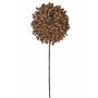 Okrasná cibule ze sušených květin BOCELLI, hnědá, 70cm, Ø14cm