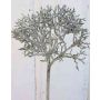 Umělá korálová větev NADINA, třpytivá, stříbrnohnědá, 45cm