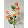 Dekorativní větev sněhové koule LABIBA s poupaty, oranžová, 60cm