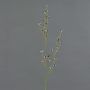 Umělá Stirlingia latifolia COLLAN, černobílá, 85cm