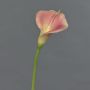 Umělá calla MIRAC, růžovo-žlutá, 75cm, 13x15cm