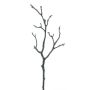 Větev pravé magnólie LOSTY, hnědá, 45cm