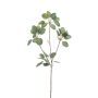 Umělý eukalptus KRISZTOFER, zelený, 90cm