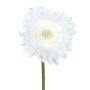 Umělá gerbera TUNZA, bílá, 50cm