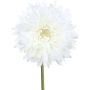 Umělá gerbera MOLZA, bílá, 60cm