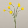 Umělá craspedia globosa STEPHANOS, žlutá, 60cm, Ø2,5-3cm
