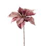 Sametová poinsettie SHEBA, starorůžová, 55cm, Ø23cm