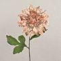 Sametová jiřinka MINBU, lososová, 60cm, Ø18cm