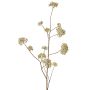 Plastová kalina GALAXINA, krémová, 120cm, Ø4-9cm