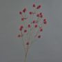 Plastový bodlák LOUKAS, červený, 70cm, Ø1,5cm