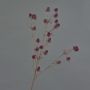 Plastový bodlák LOUKAS, vínová, 70cm, Ø1,5cm