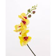 Umělá větvička orchideje phalaenopsis DAJANA, žluto-růžová, 90cm
