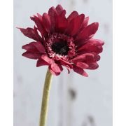 Umělá květina gerbera ANNELIE, červená, 25cm
