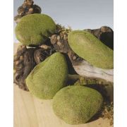 Plastové mechové kameny DARLEEN, 4 kusy, zelenohnědé, 10 cm