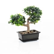 Plastový bonsai zimostráz JUSTIN, s kořeny, v dekorační míse, 20cm