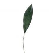 Umělý palmový list kořenokvětky PAISA, 75cm