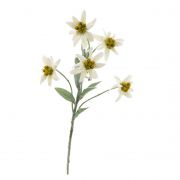Umělá rostlina plesnivec SOPHIA, bílá, 40cm, Ø5-6cm