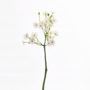 Umělá rostlina sedmikráska BELINA, bílá, 30cm, Ø1cm