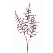 Umělá větev Asparagus acutifolius HANS, tmavě červená, 70cm