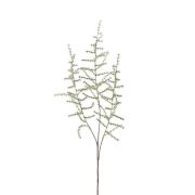 Umělá větev Asparagus acutifolius HANS, zelená, 70cm