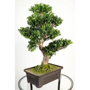 Umělý strom bonsai zimostráz JELKO, s kořeny, v bonsajové míse, 65cm