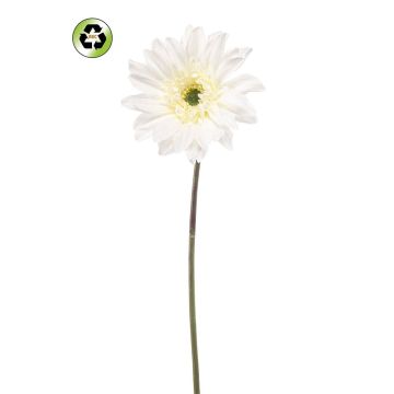 Umělá gerbera FRALWE, Eco Collection, bílá, 65cm, Ø13cm