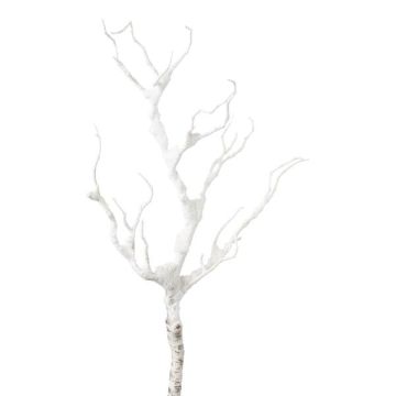 Umělá březová větev BLUNTE, zasněžená, bílá, 65cm